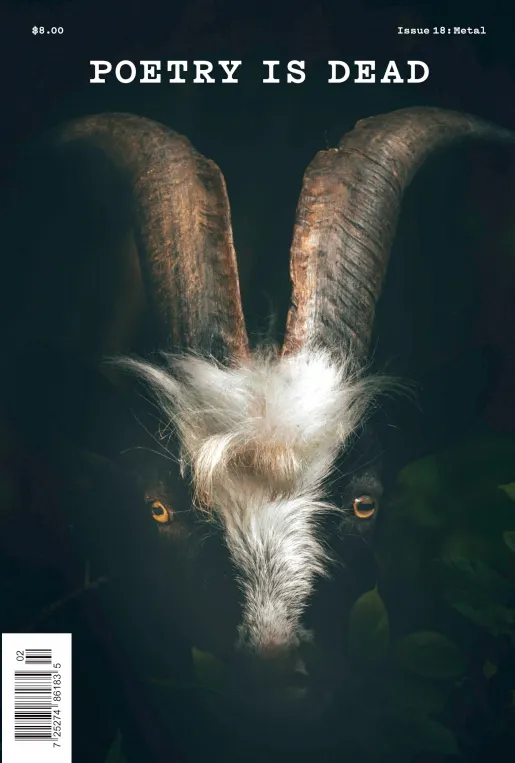 Poetry Is Dead, Issue 18: Metal